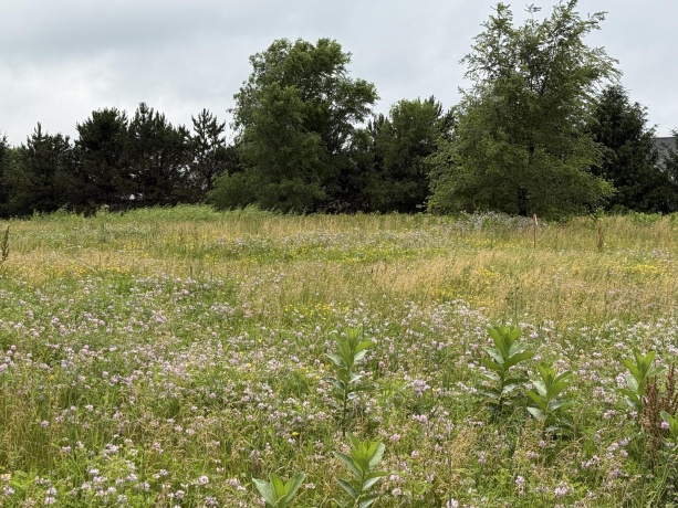 1658 Bell School, ROCKFORD, Illinois 61107, ,Land,For Sale,Bell School,202603634