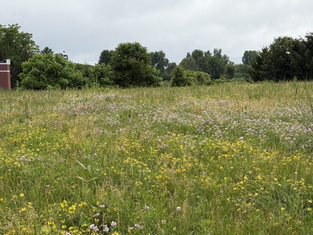 1658 Bell School, ROCKFORD, Illinois 61107, ,Land,For Sale,Bell School,202603634