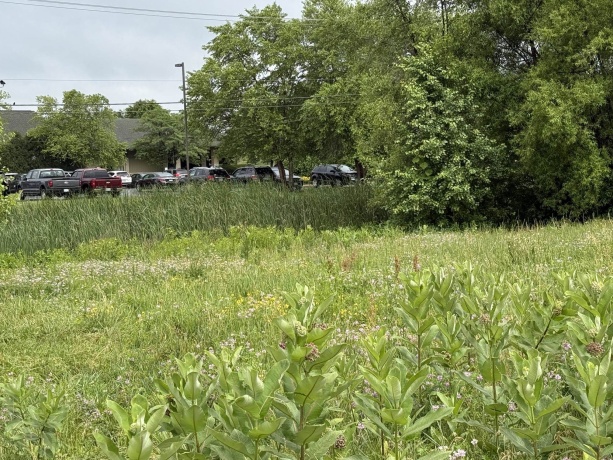 1658 Bell School, ROCKFORD, Illinois 61107, ,Land,For Sale,Bell School,202603634