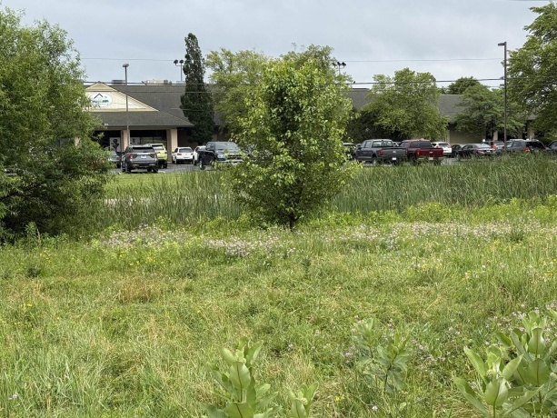 1658 Bell School, ROCKFORD, Illinois 61107, ,Land,For Sale,Bell School,202603634