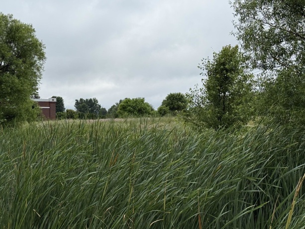 1658 Bell School, ROCKFORD, Illinois 61107, ,Land,For Sale,Bell School,202603634