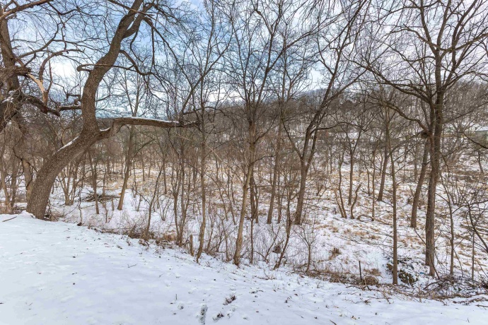 469 Dewey, GALENA, Illinois 61036, 2 Bedrooms Bedrooms, ,1 BathroomBathrooms,House,For Sale,Dewey,202600439