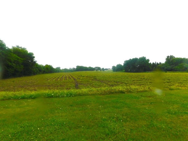 000 Illinois Route 72, STILLMAN VALLEY, Illinois 61084, ,Land,For Sale,Illinois Route 72,202603683