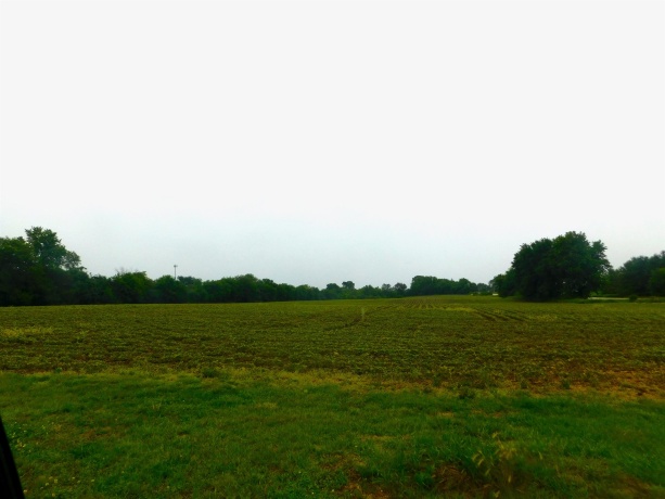 000 Illinois Route 72, STILLMAN VALLEY, Illinois 61084, ,Land,For Sale,Illinois Route 72,202603683