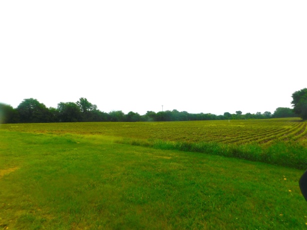 000 Illinois Route 72, STILLMAN VALLEY, Illinois 61084, ,Land,For Sale,Illinois Route 72,202603683