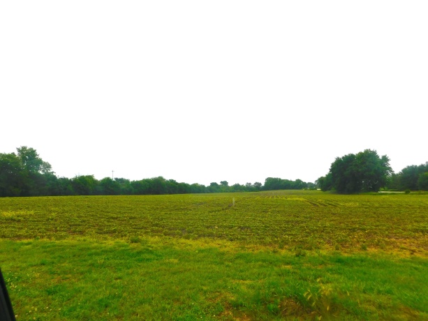 000 Illinois Route 72, STILLMAN VALLEY, Illinois 61084, ,Land,For Sale,Illinois Route 72,202603683