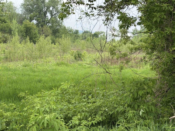 0 US 20, EAST DUBUQUE, Illinois 61025, ,Land,For Sale,US 20,202603714