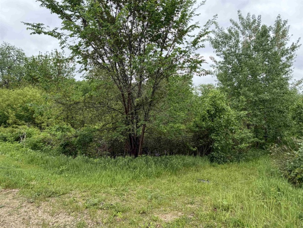 0 US 20, EAST DUBUQUE, Illinois 61025, ,Land,For Sale,US 20,202603714