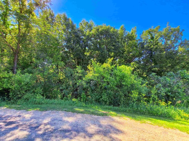17-109 & 110 Hidden Cove, LAKE CARROLL, Illinois 61046, ,Land,For Sale,Hidden Cove,202603724