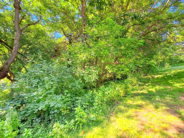 17-109 & 110 Hidden Cove, LAKE CARROLL, Illinois 61046, ,Land,For Sale,Hidden Cove,202603724