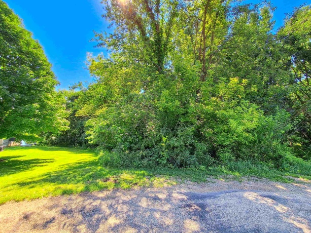 17-109 & 110 Hidden Cove, LAKE CARROLL, Illinois 61046, ,Land,For Sale,Hidden Cove,202603724