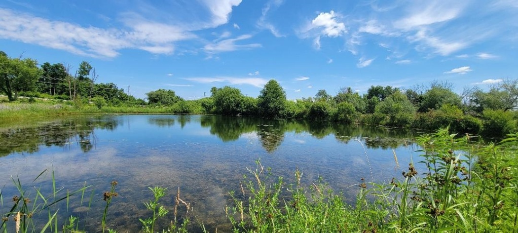 TBD Montague Rd, BAILEYVILLE, Illinois 61007, ,Land,For Sale,Montague Rd,202603760