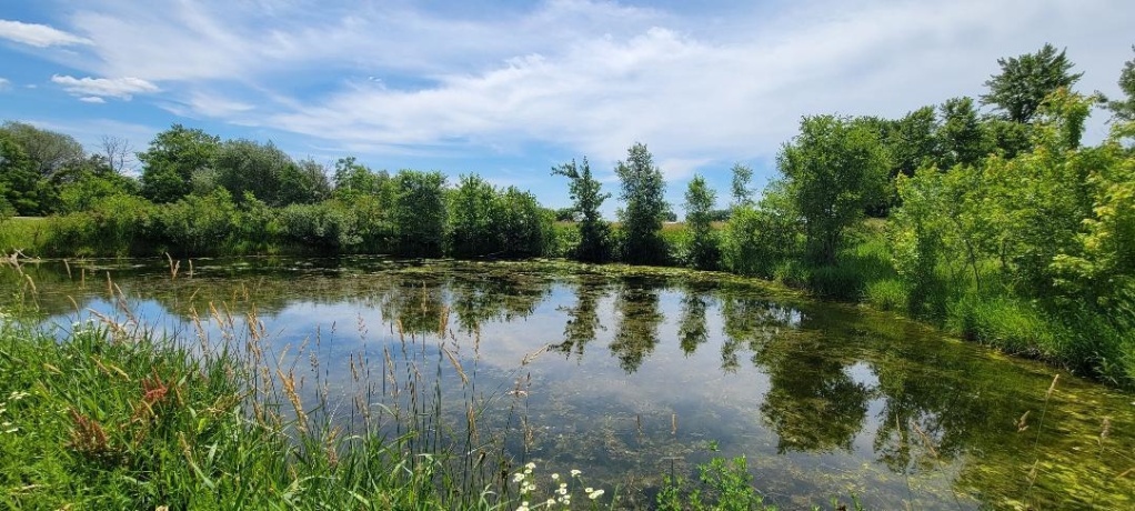 TBD Montague Rd, BAILEYVILLE, Illinois 61007, ,Land,For Sale,Montague Rd,202603760