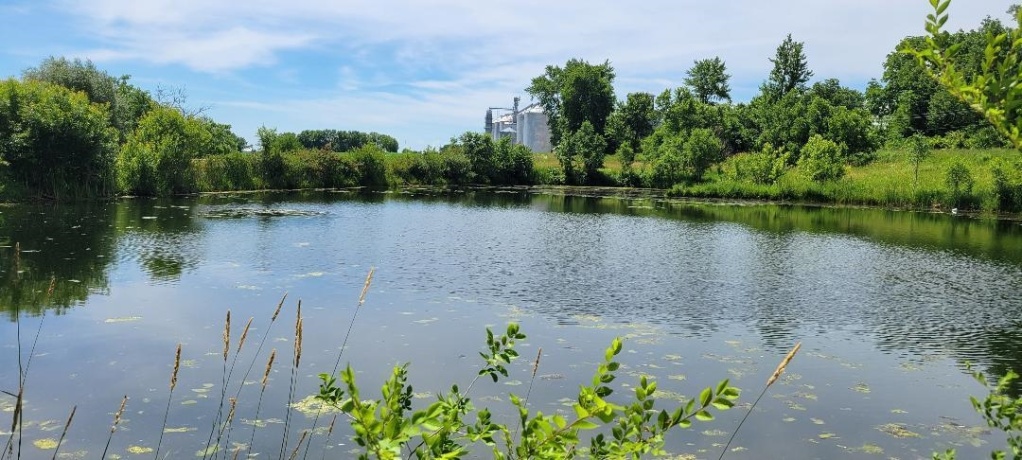 TBD Montague Rd, BAILEYVILLE, Illinois 61007, ,Land,For Sale,Montague Rd,202603760