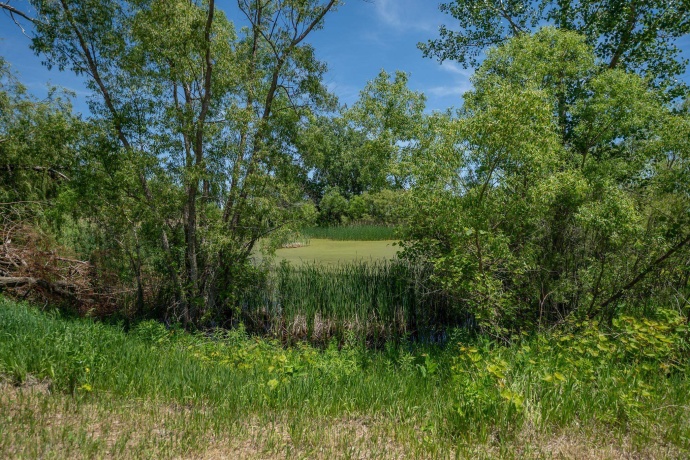 0 mulford, MONROE CENTER, Illinois 61052, ,Land,For Sale,mulford,202603793