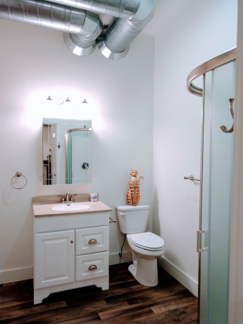 102 Market Street, Apt. 3, MOUNT CARROLL, Illinois 61053, 1 Bedroom Bedrooms, ,1 BathroomBathrooms,House,For Sale,Market Street, Apt. 3,202603813
