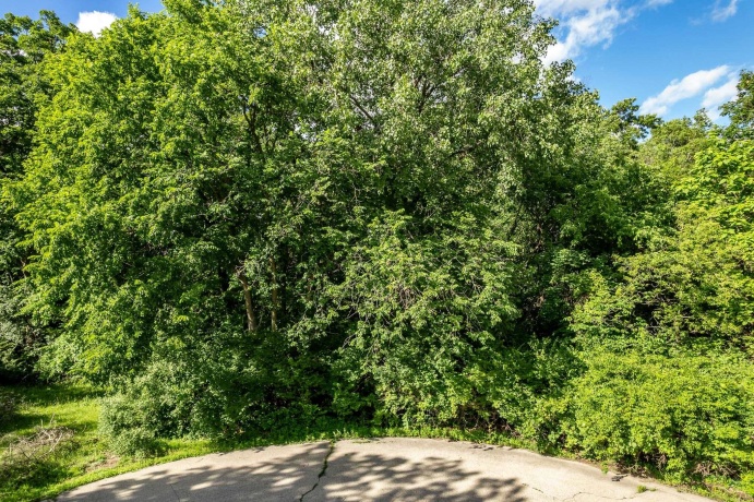 217 New Forest, POPLAR GROVE, Illinois 61065, ,Land,For Sale,New Forest,202603823