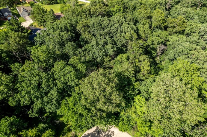217 New Forest, POPLAR GROVE, Illinois 61065, ,Land,For Sale,New Forest,202603823