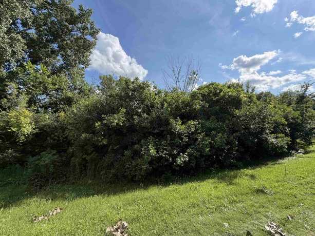 101 Cuyahoga, DIXON, Illinois 61021, ,Land,For Sale,Cuyahoga,202603828