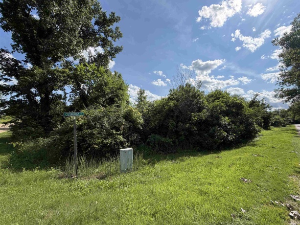 101 Cuyahoga, DIXON, Illinois 61021, ,Land,For Sale,Cuyahoga,202603828