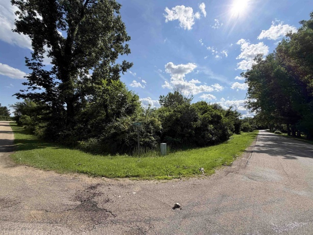 101 Cuyahoga, DIXON, Illinois 61021, ,Land,For Sale,Cuyahoga,202603828