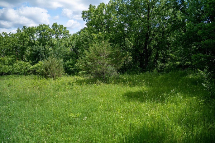 1904 US Rt 20 E, ELIZABETH, Illinois 61028, ,Land,For Sale,US Rt 20 E,202603844