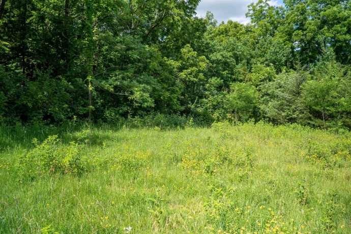 1904 US Rt 20 E, ELIZABETH, Illinois 61028, ,Land,For Sale,US Rt 20 E,202603844