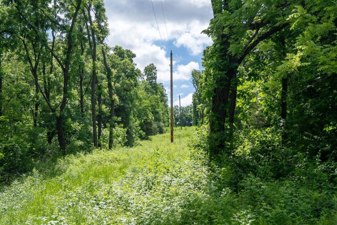 1904 US Rt 20 E, ELIZABETH, Illinois 61028, ,Land,For Sale,US Rt 20 E,202603844