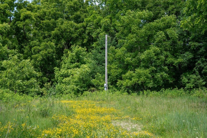 1904 US Rt 20 E, ELIZABETH, Illinois 61028, ,Land,For Sale,US Rt 20 E,202603844