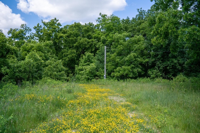 1904 US Rt 20 E, ELIZABETH, Illinois 61028, ,Land,For Sale,US Rt 20 E,202603844