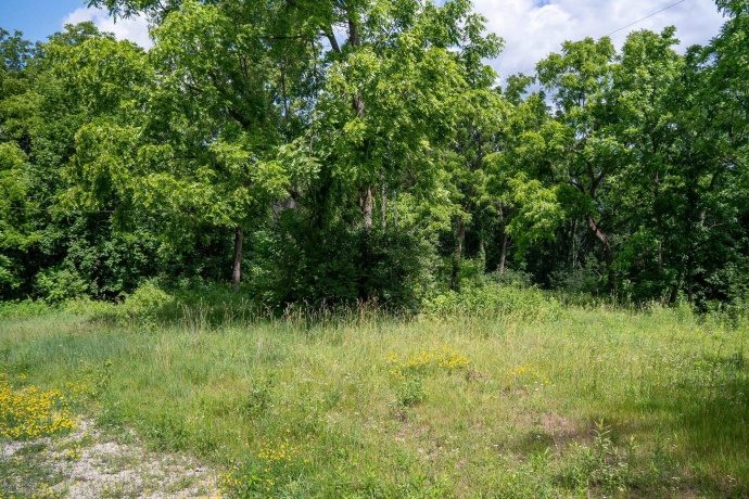 1904 US Rt 20 E, ELIZABETH, Illinois 61028, ,Land,For Sale,US Rt 20 E,202603844