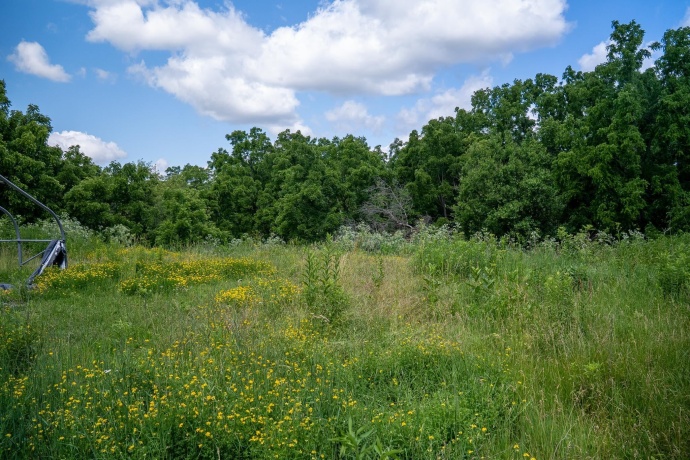 1904 US Rt 20 E, ELIZABETH, Illinois 61028, ,Land,For Sale,US Rt 20 E,202603844