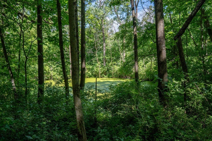 1904 US Rt 20 E, ELIZABETH, Illinois 61028, ,Land,For Sale,US Rt 20 E,202603844