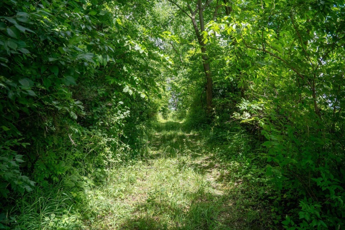 1904 US Rt 20 E, ELIZABETH, Illinois 61028, ,Land,For Sale,US Rt 20 E,202603844