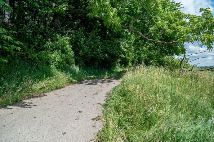 1904 US Rt 20 E, ELIZABETH, Illinois 61028, ,Land,For Sale,US Rt 20 E,202603844