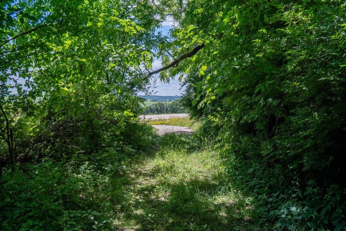 1904 US Rt 20 E, ELIZABETH, Illinois 61028, ,Land,For Sale,US Rt 20 E,202603844