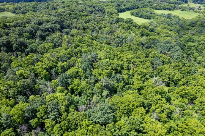 1904 US Rt 20 E, ELIZABETH, Illinois 61028, ,Land,For Sale,US Rt 20 E,202603844