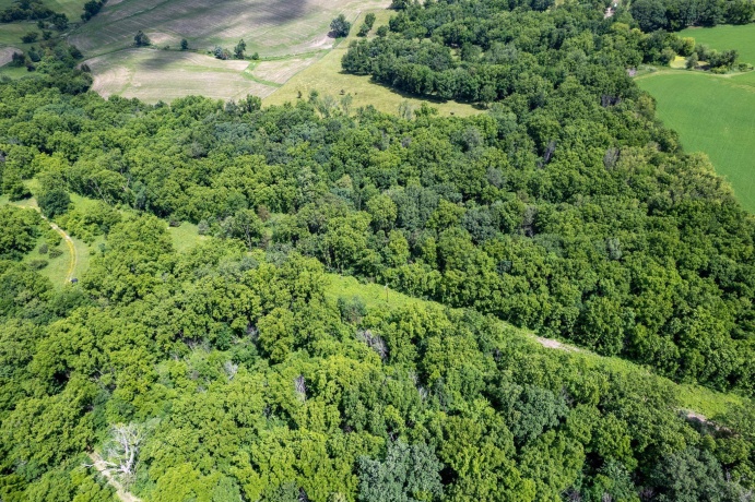 1904 US Rt 20 E, ELIZABETH, Illinois 61028, ,Land,For Sale,US Rt 20 E,202603844