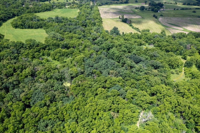 1904 US Rt 20 E, ELIZABETH, Illinois 61028, ,Land,For Sale,US Rt 20 E,202603844
