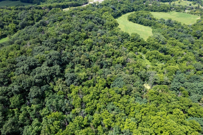 1904 US Rt 20 E, ELIZABETH, Illinois 61028, ,Land,For Sale,US Rt 20 E,202603844