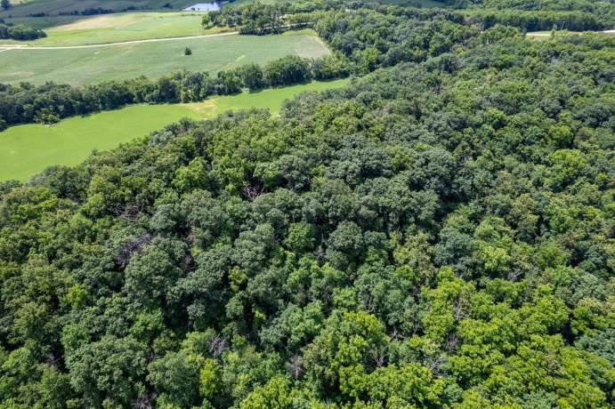 1904 US Rt 20 E, ELIZABETH, Illinois 61028, ,Land,For Sale,US Rt 20 E,202603844