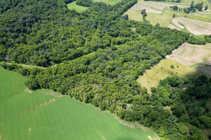 1904 US Rt 20 E, ELIZABETH, Illinois 61028, ,Land,For Sale,US Rt 20 E,202603844