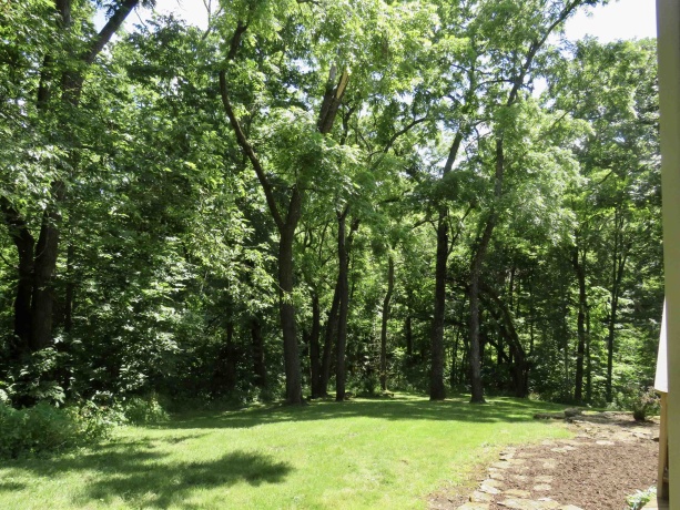 11 Peninsula Drive, GALENA, Illinois 61036, 4 Bedrooms Bedrooms, ,2 BathroomsBathrooms,House,For Sale,Peninsula Drive,202603846