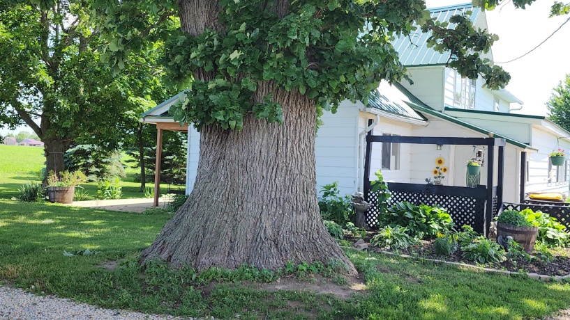 8999 Centerville, CAPRON, Illinois 61012, 3 Bedrooms Bedrooms, ,2 BathroomsBathrooms,House,For Sale,Centerville,202603715