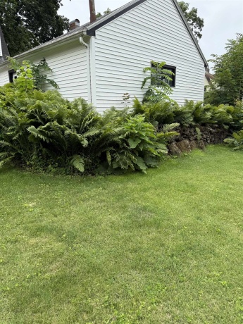 1526 Lincoln, FREEPORT, Illinois 61032, 3 Bedrooms Bedrooms, ,1 BathroomBathrooms,House,For Sale,Lincoln,202603865