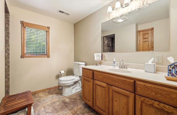 45 Roosevelt, EAST DUBUQUE, Illinois 61025, 4 Bedrooms Bedrooms, ,3 BathroomsBathrooms,House,For Sale,Roosevelt,202603886