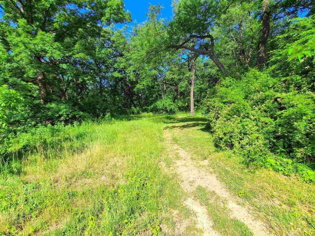 22-2 Lakewood, LAKE CARROLL, Illinois 61046, ,Land,For Sale,Lakewood,202601265