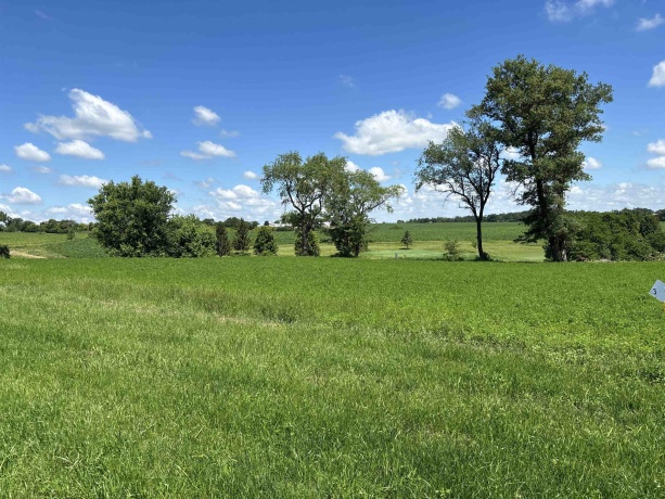 Lot 3 Galena Golf View Estates Phase lll, GALENA, Illinois 61036, ,Land,For Sale,Galena Golf View Estates Phase lll,202603902