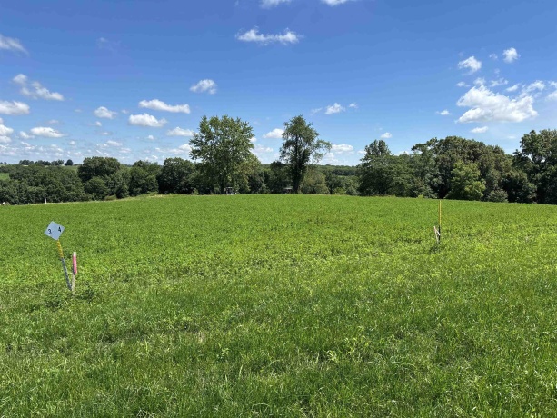 Lot 4 Galena Golf View Estates Phase lll, GALENA, Illinois 61036, ,Land,For Sale,Galena Golf View Estates Phase lll,202603903