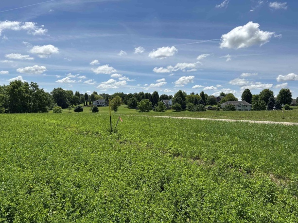 Lot 4 Galena Golf View Estates Phase lll, GALENA, Illinois 61036, ,Land,For Sale,Galena Golf View Estates Phase lll,202603903